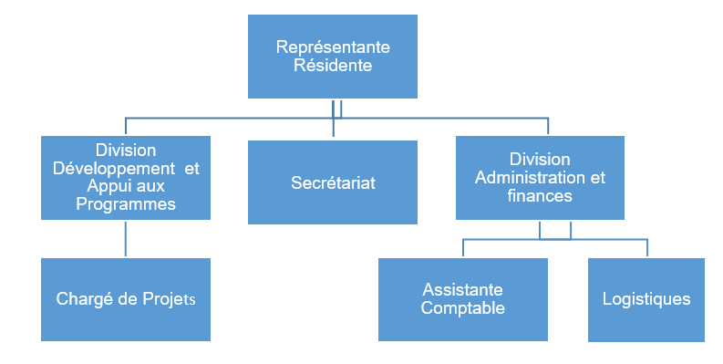 Organigramme